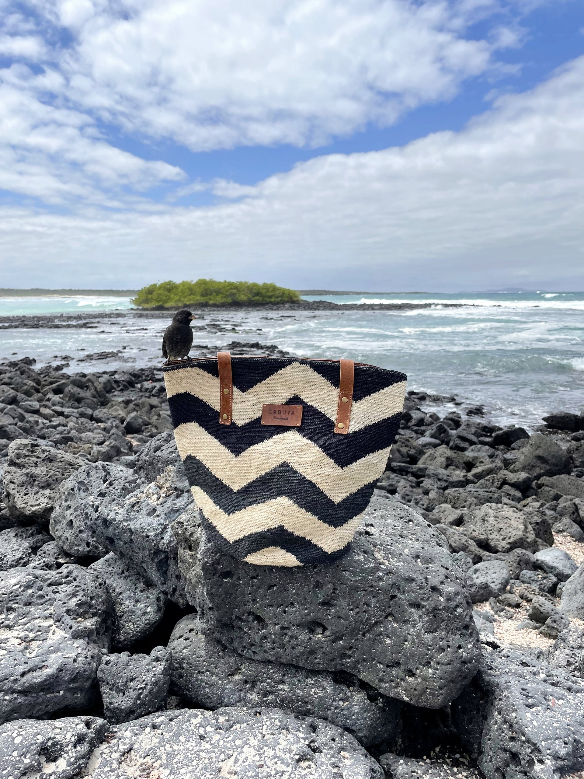 Shigra Tote Bag Mountains